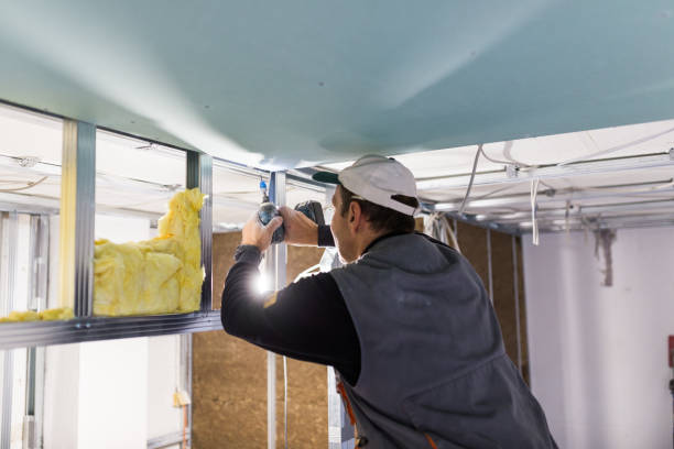 Best Insulation Materials and Products in Massanetta Springs, VA