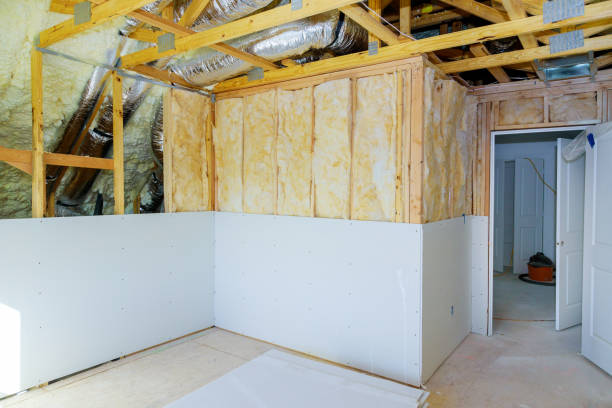 Best Commercial Insulation in Massanetta Springs, VA