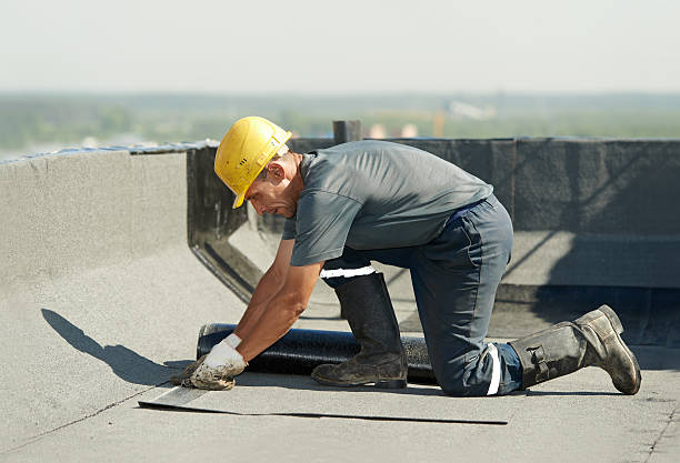  Massanetta Springs, VA Insulation Contractor Pros
