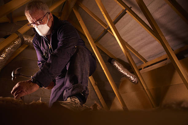 Best Insulation Maintenance and Repair in Massanetta Springs, VA