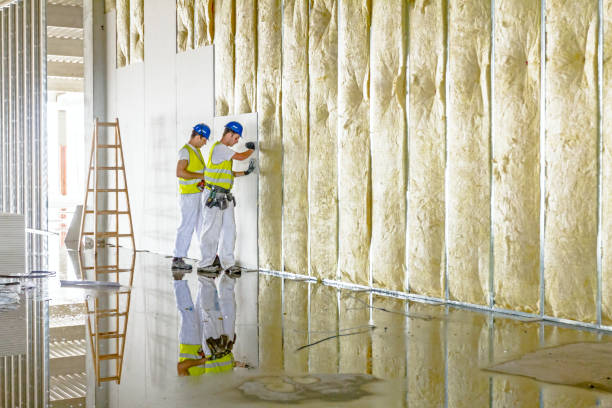 Best Insulation for Specific Applications in Massanetta Springs, VA